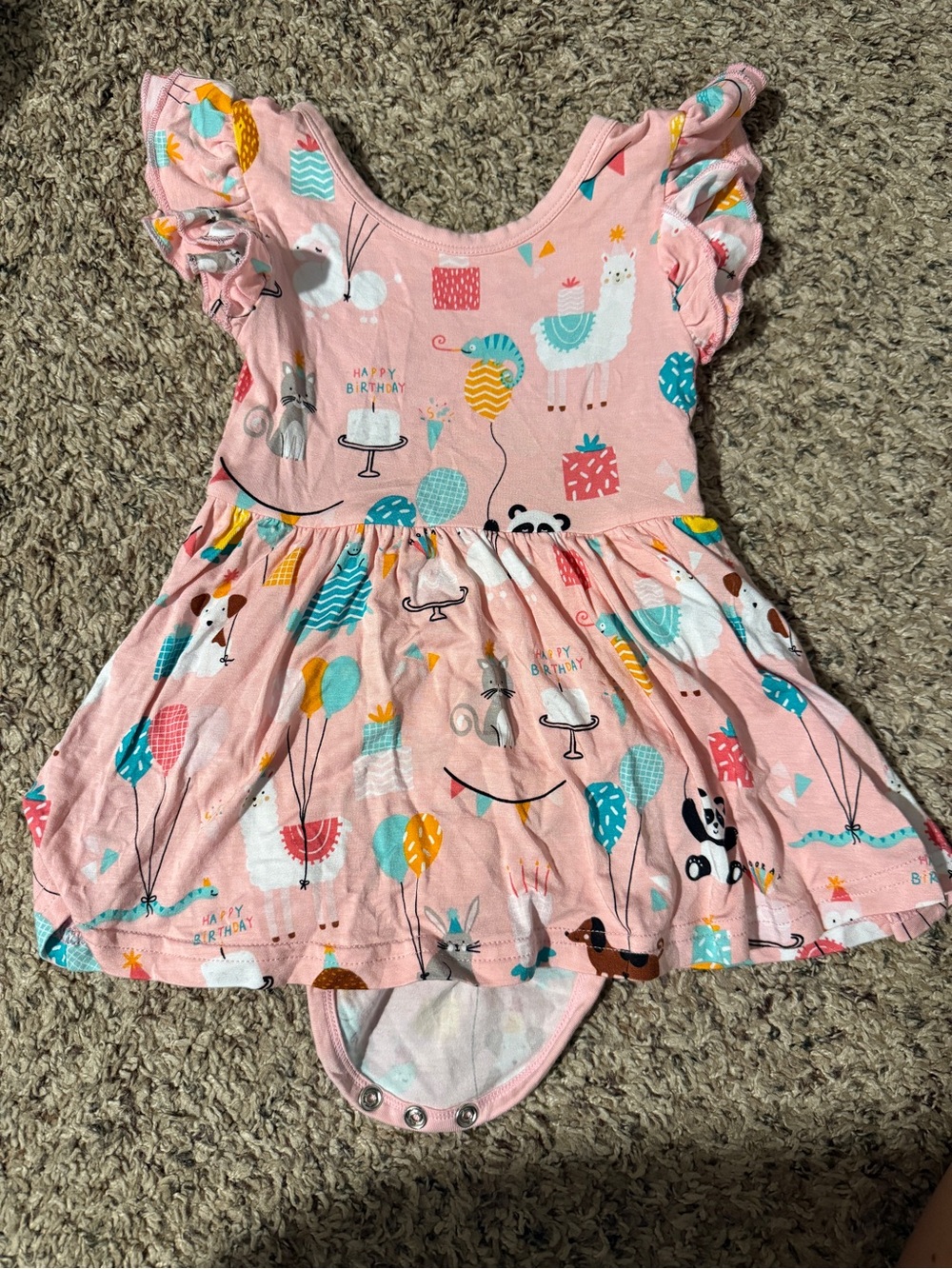 Little Sleepies Birthday Dress